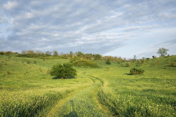 Tourisme Et Globetrotteurs